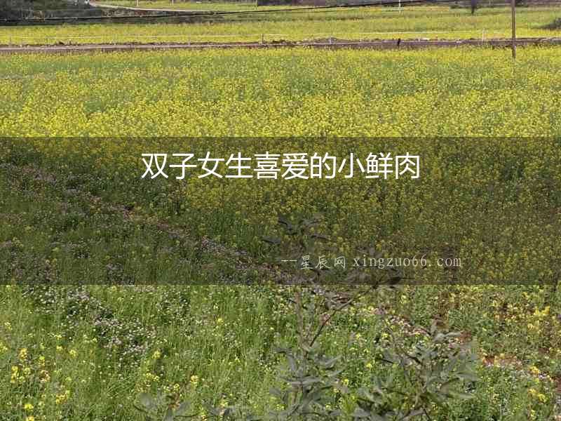 雙子女生喜愛的小鮮肉