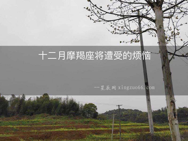 十二月摩羯座將遭受的煩惱
