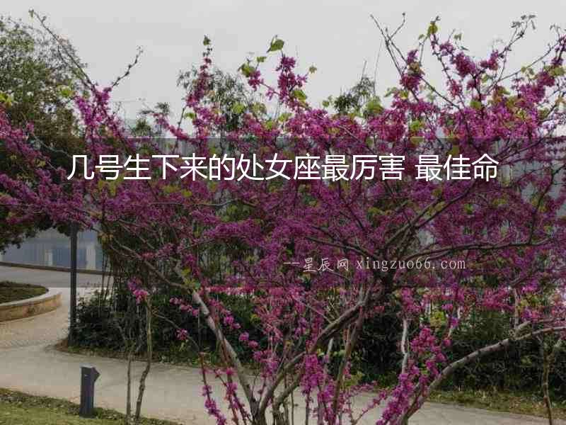 幾號生下來的處女座最厲害 最佳命