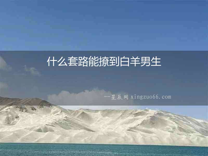 什么套路能撩到白羊男生
