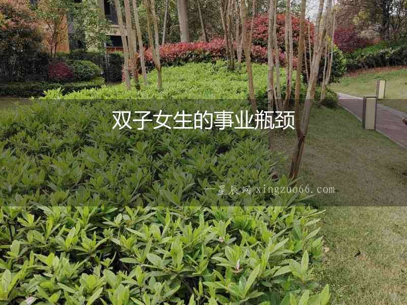 雙子女生的事業(yè)瓶頸