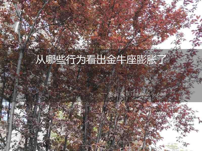 從哪些行為看出金牛座膨脹了