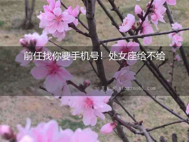 前任找你要手機號！處女座給不給