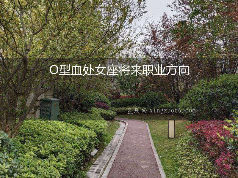 O型血處女座將來職業(yè)方向