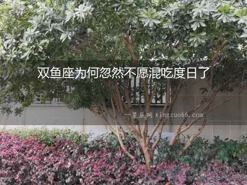 雙魚座為何忽然不愿混吃度日了