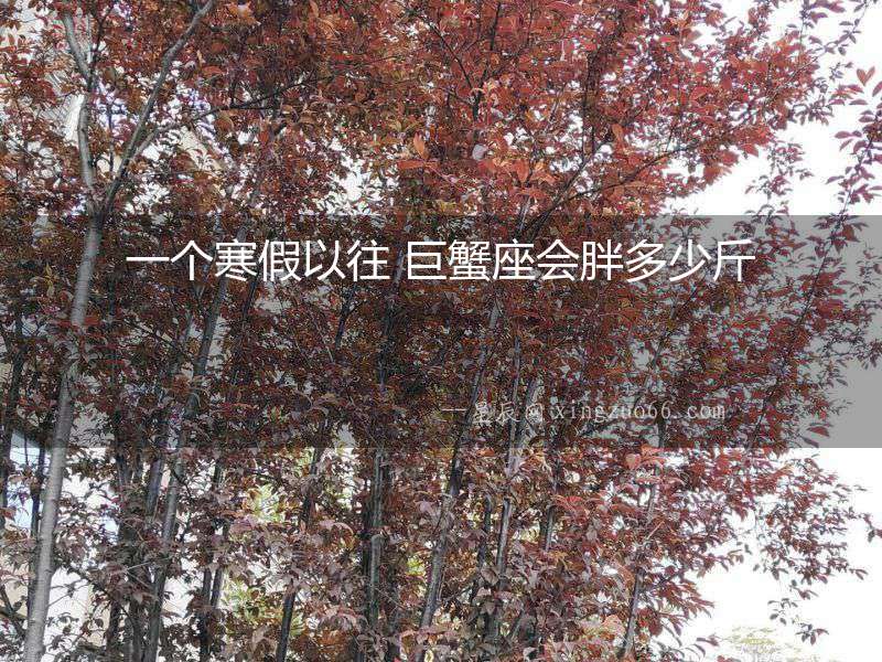 一個寒假以往 巨蟹座會胖多少斤