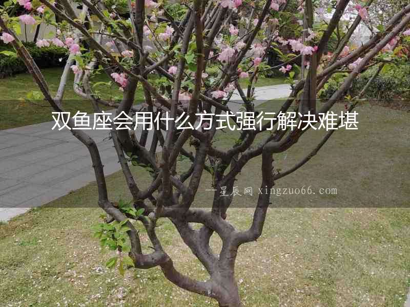 雙魚座會用什么方式強行解決難堪