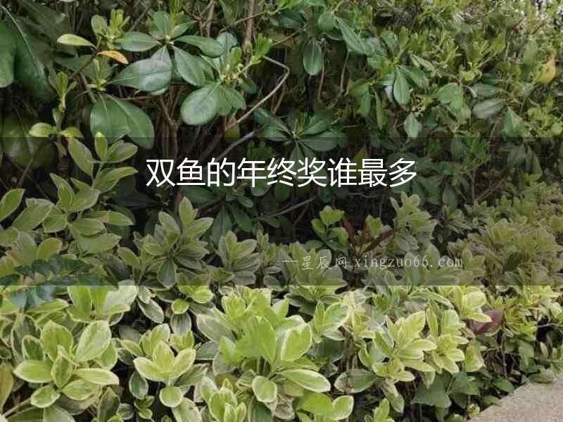 雙魚的年終獎誰最多