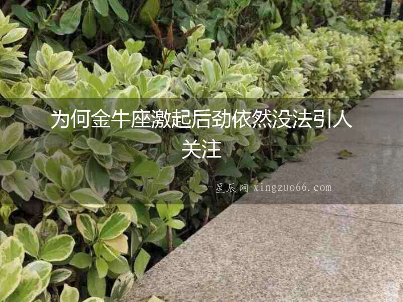 為何金牛座激起后勁依然沒法引人關(guān)注