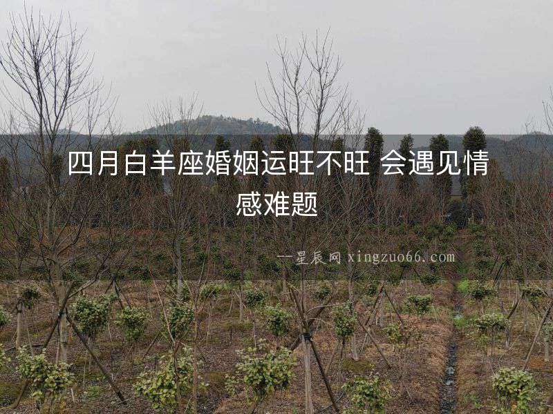 四月白羊座婚姻運(yùn)旺不旺 會(huì)遇見情感難題