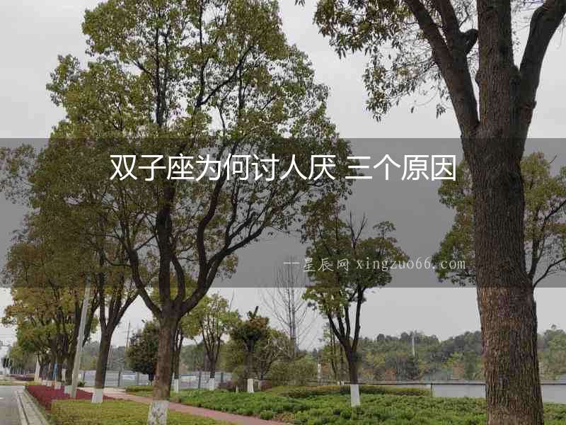 雙子座為何討人厭 三個原因