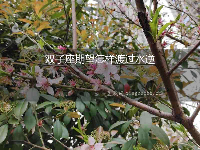 雙子座期望怎樣渡過水逆
