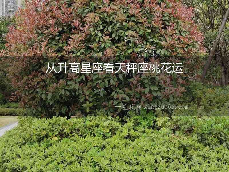 從升高星座看天秤座桃花運