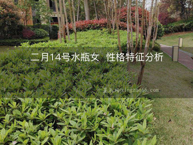 二月14號水瓶女  性格特征分析