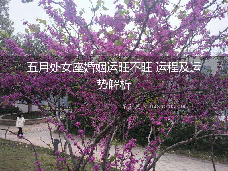 五月處女座婚姻運(yùn)旺不旺 運(yùn)程及運(yùn)勢解析