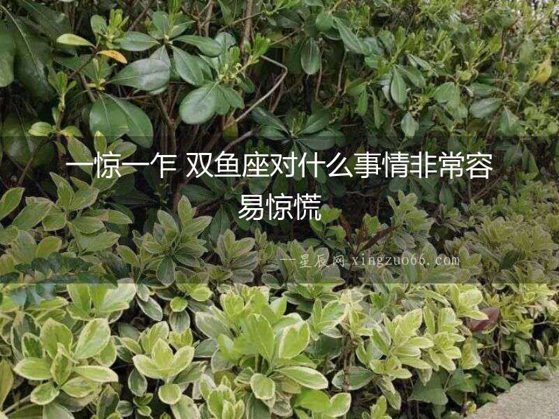 一驚一乍 雙魚座對什么事情非常容易驚慌