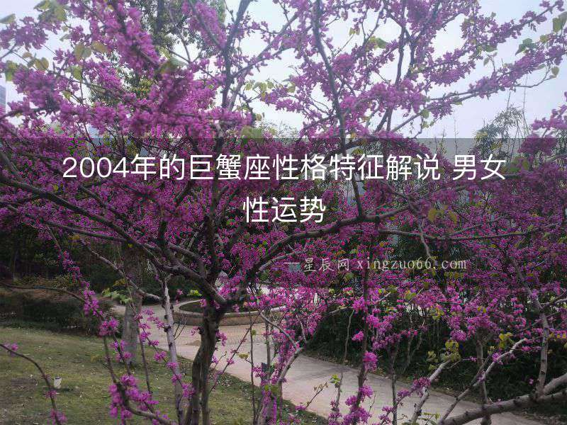 2004年的巨蟹座性格特征解說 男女性運勢