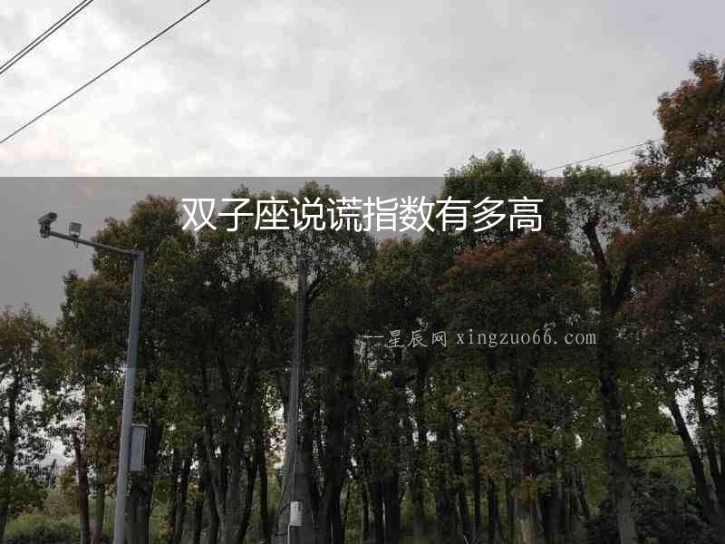 雙子座說謊指數有多高
