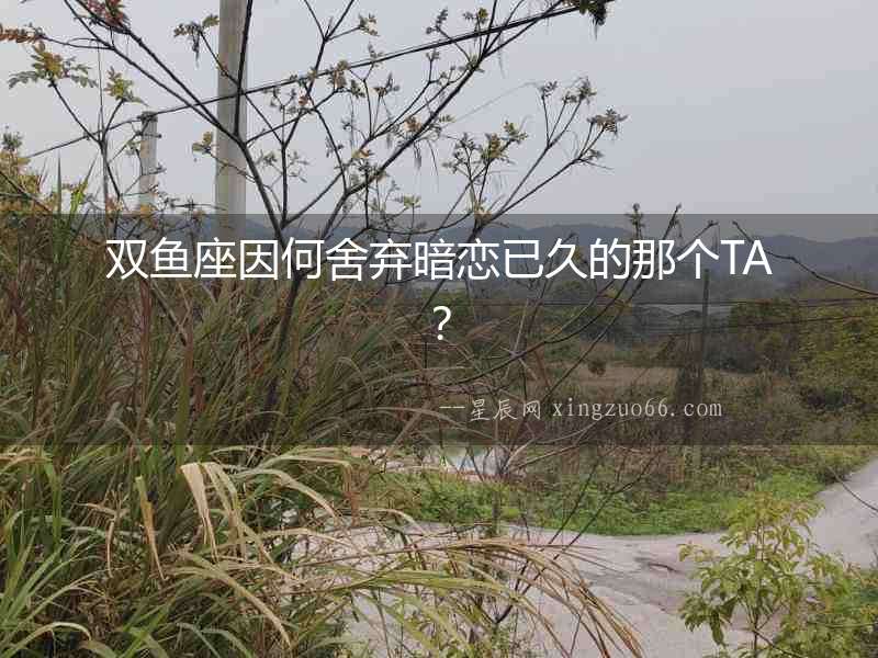 雙魚座因何舍棄暗戀已久的那個TA？