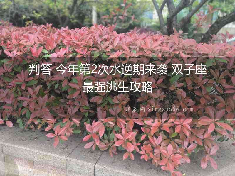 判答 今年第2次水逆期來襲 雙子座最強逃生攻略