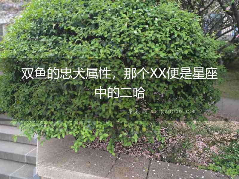 雙魚的忠犬屬性，那個XX便是星座中的二哈
