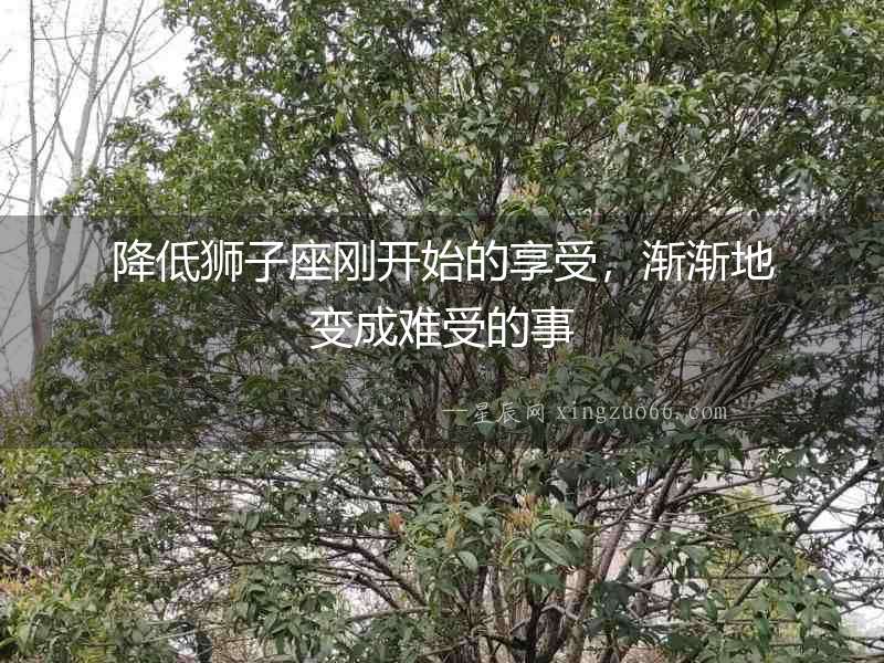 降低獅子座剛開始的享受，漸漸地變成難受的事
