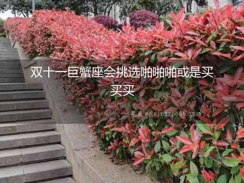 雙十一巨蟹座會(huì)挑選啪啪啪或是買買買