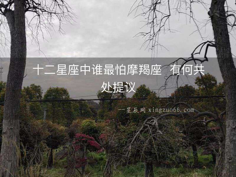 十二星座中誰最怕摩羯座  有何共處提議