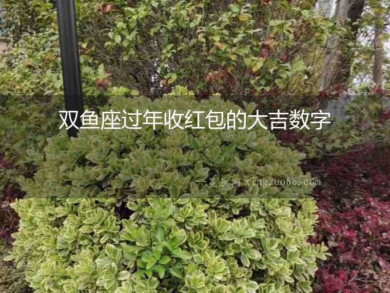 雙魚座過年收紅包的大吉數(shù)字