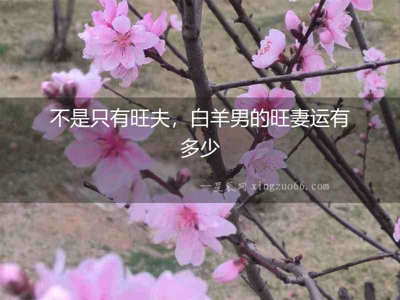 不是只有旺夫，白羊男的旺妻運有多少