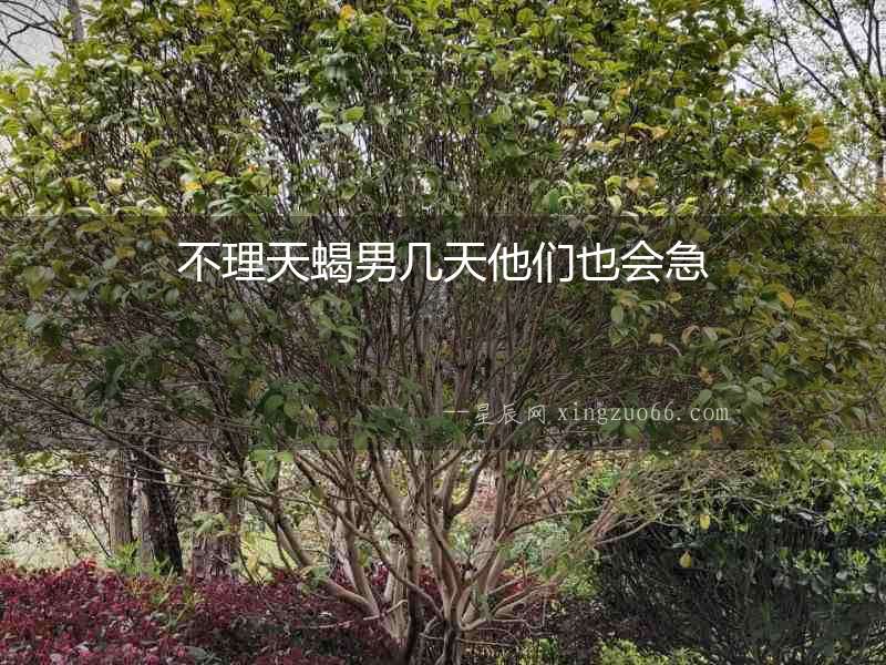 不理天蝎男幾天他們也會急