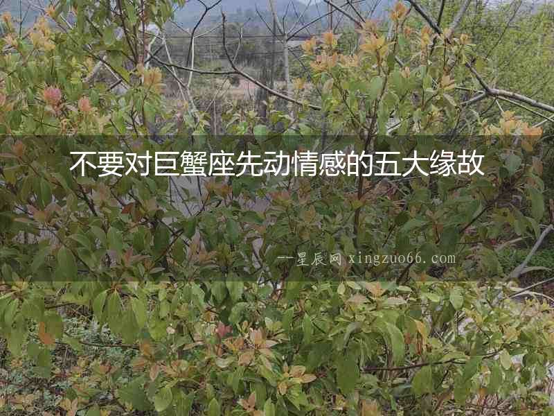 不要對巨蟹座先動(dòng)情感的五大緣故