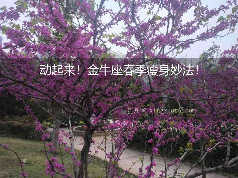 動起來！金牛座春季瘦身妙法！