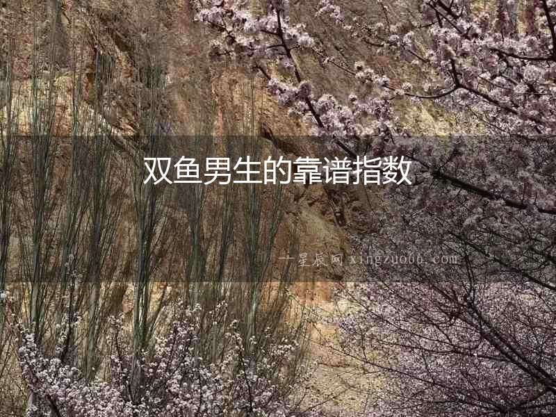 雙魚(yú)男生的靠譜指數(shù)