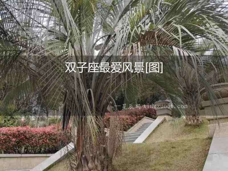 雙子座最愛風景[圖]