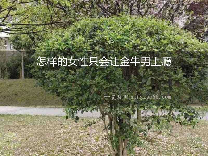 怎樣的女性只會讓金牛男上癮