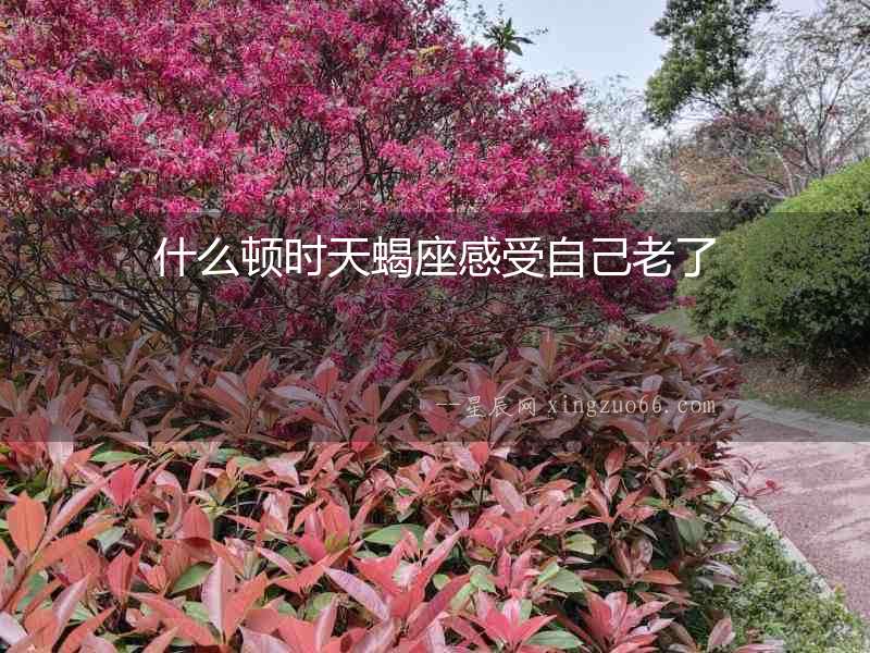什么頓時天蝎座感受自己老了