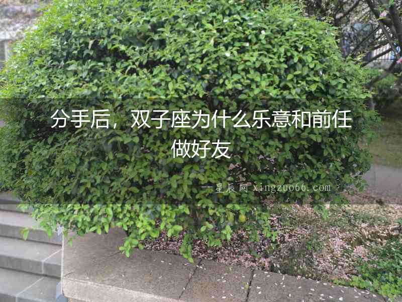 分手后，雙子座為什么樂意和前任做好友