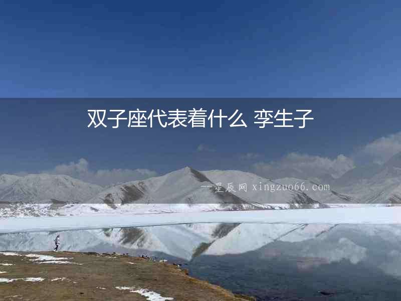 雙子座代表著什么 孿生子
