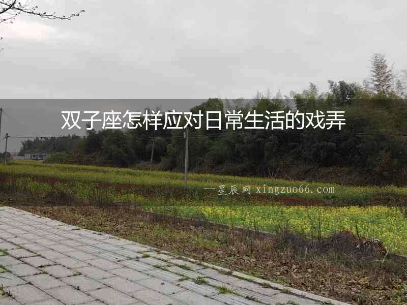 雙子座怎樣應(yīng)對日常生活的戲弄