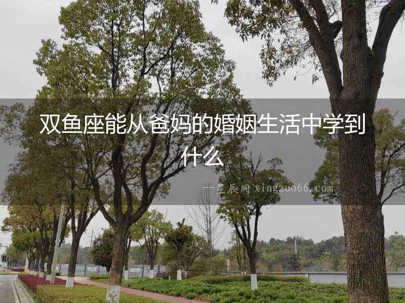 雙魚座能從爸媽的婚姻生活中學到什么