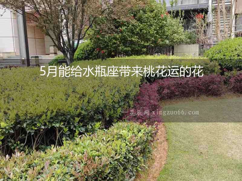 5月能給水瓶座帶來桃花運(yùn)的花