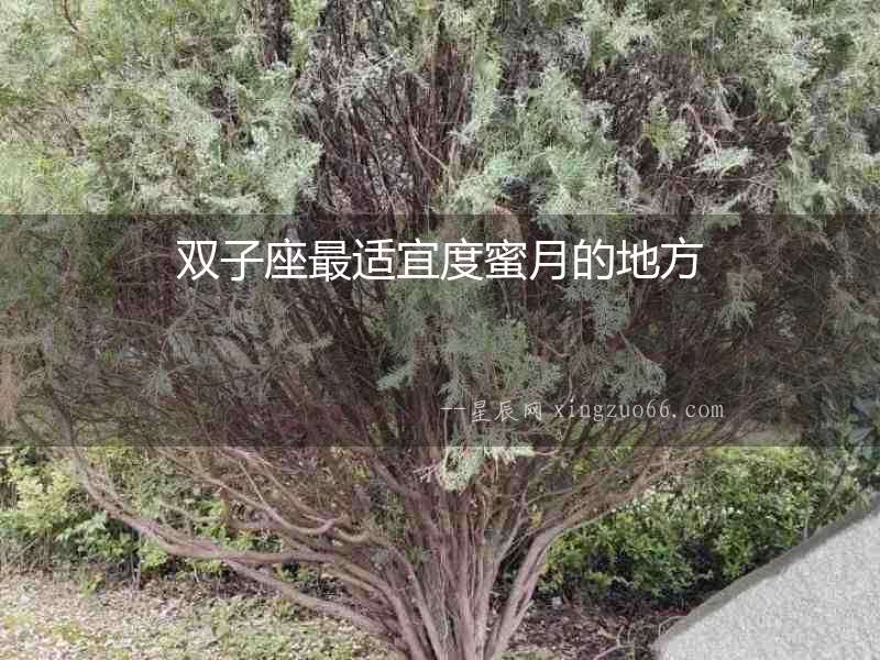 雙子座最適宜度蜜月的地方