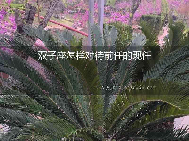 雙子座怎樣對待前任的現(xiàn)任
