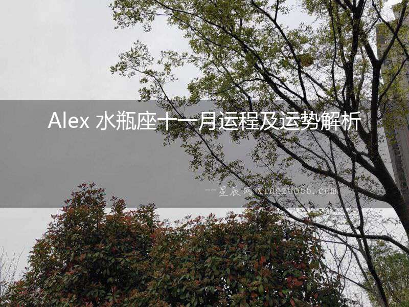 Alex 水瓶座十一月運程及運勢解析