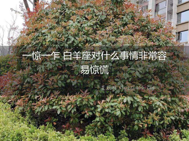 一驚一乍 白羊座對什么事情非常容易驚慌