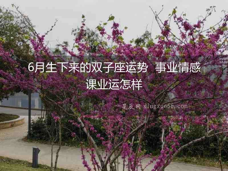6月生下來的雙子座運勢  事業情感課業運怎樣