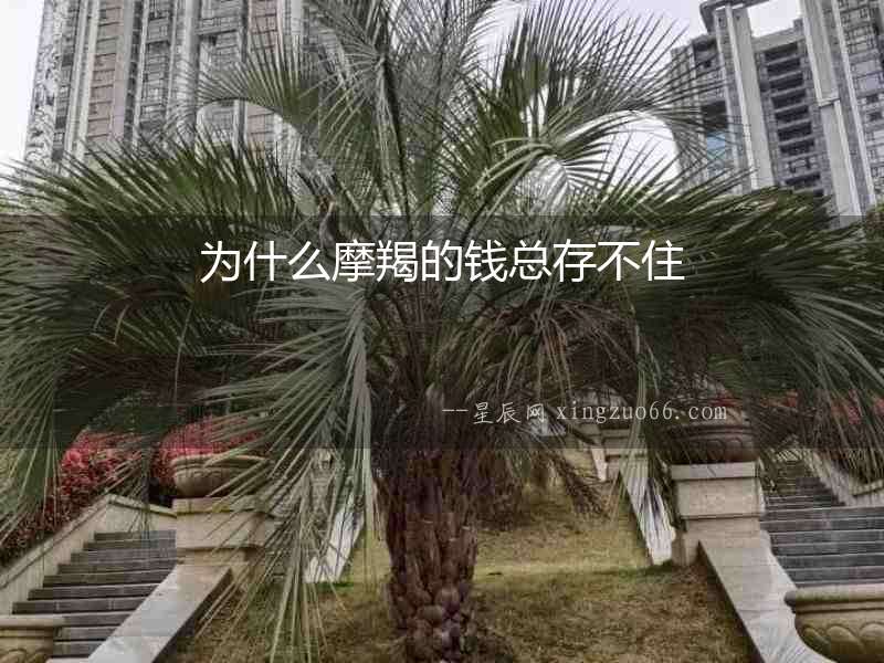 為什么摩羯的錢總存不住