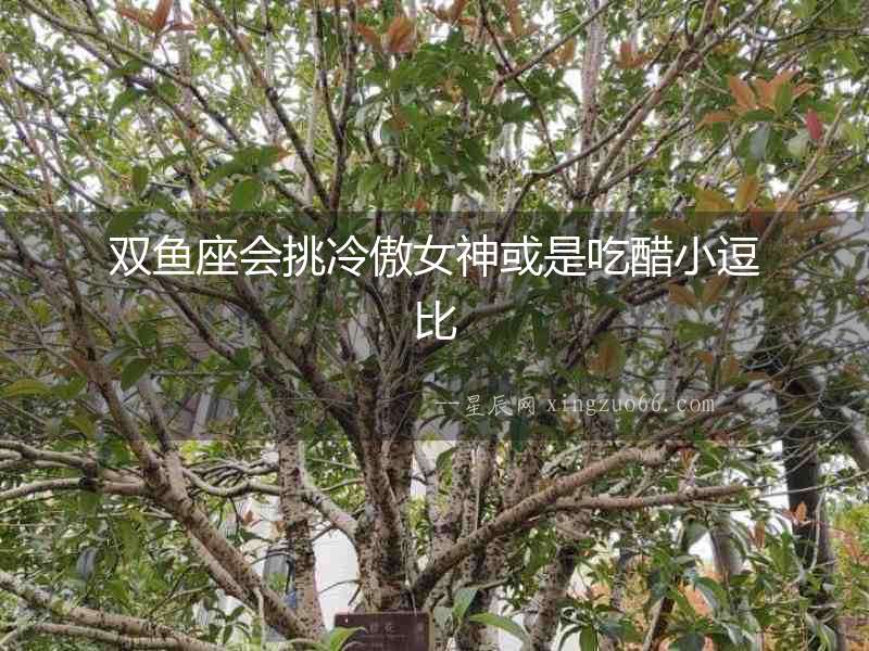 雙魚座會挑冷傲女神或是吃醋小逗比