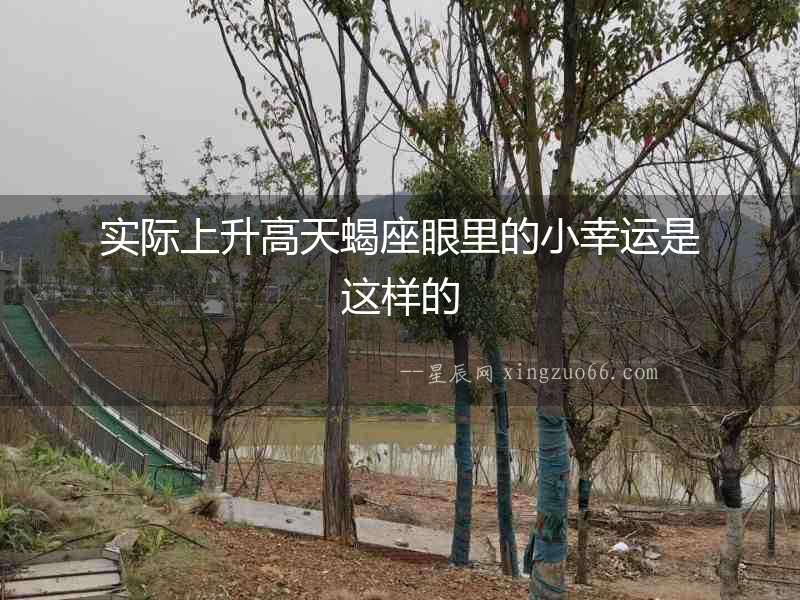 實際上升高天蝎座眼里的小幸運是這樣的